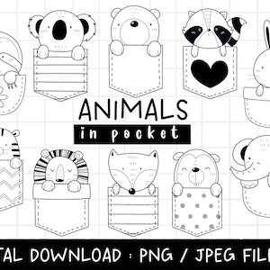 Animal dans la poche Clipart, Animal mignon, Animal des bois, Bébé animal de pépinière, Chemise pour enfants, Clipart à colorier, Téléchargement PNG transparent