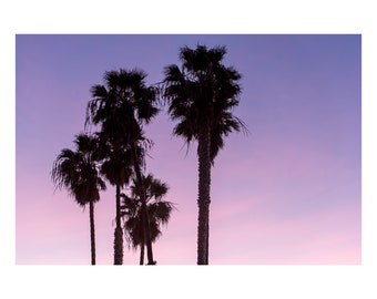 Palm Trees at Sunset on the Beach in Santa Monica, CA | Silhouette Photo Print | Beach Photo Print | Sunset Photo Print