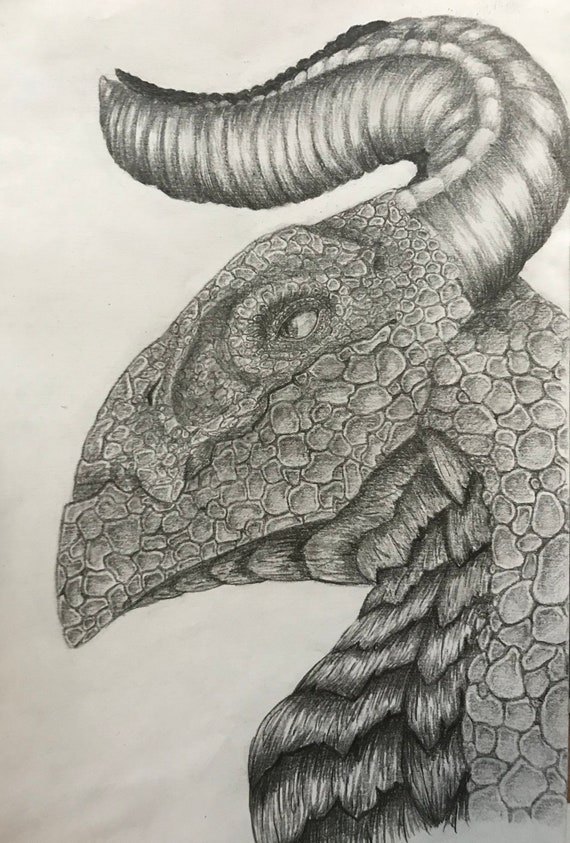 Custom Hyper-Realistic Animal Drawings .br Custom Hyper-Realistic Animal Drawings .br