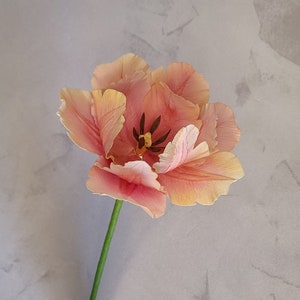 La belle époque Tulpe, Tulpe, Papierblume