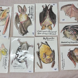 Bats of Southwest US Original Watercolor