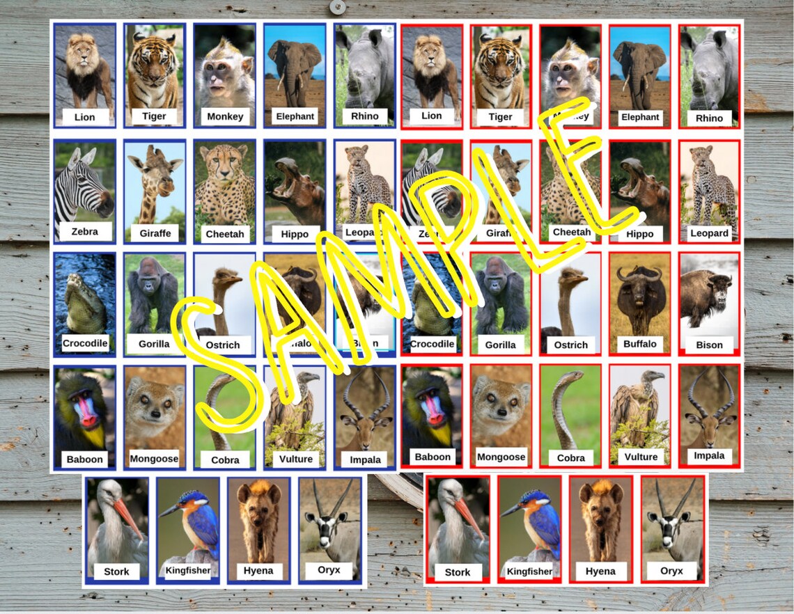 Safari Animals Guess Who Animals Version Guess Who | Etsy