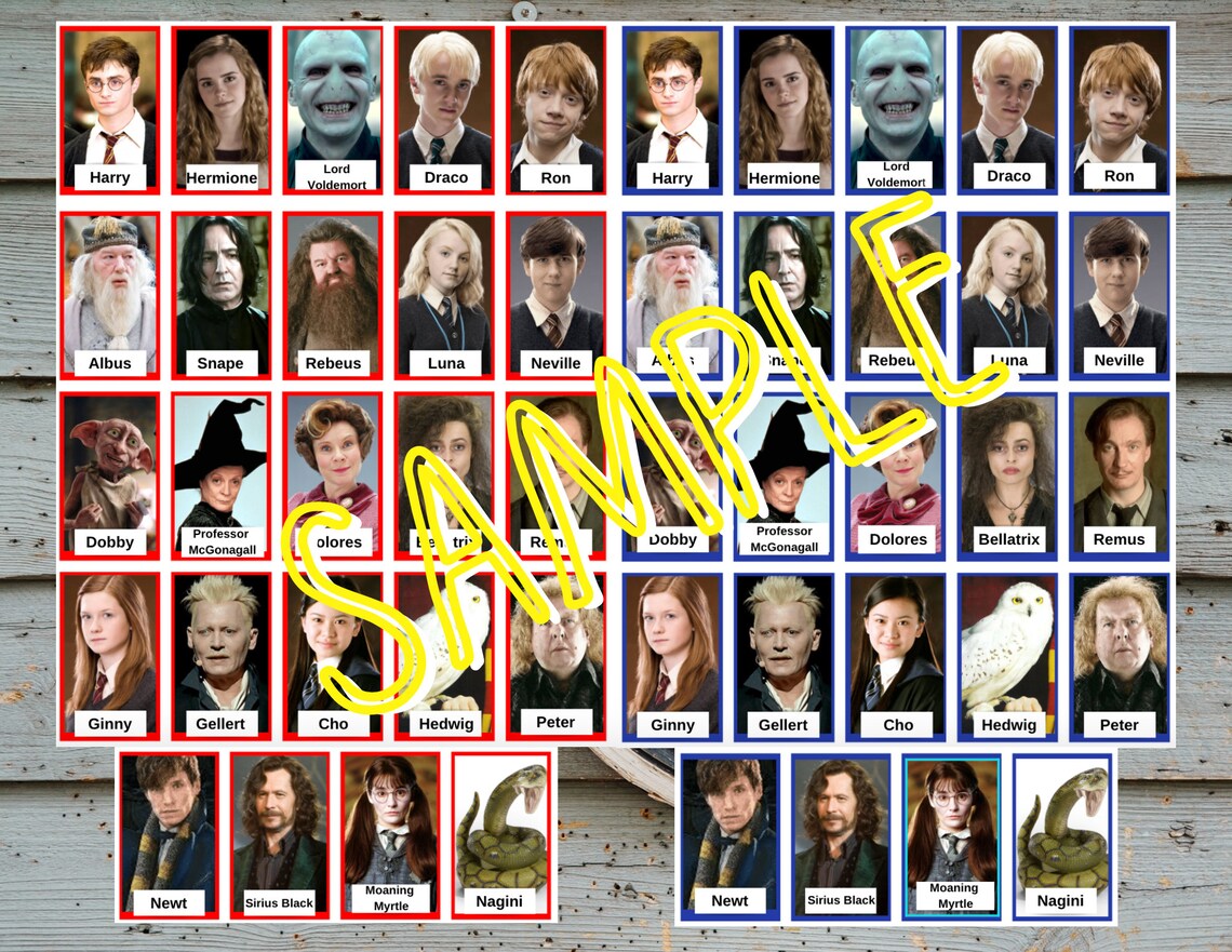 Harry Potter Guess Who Printable Guess Who Harry Potter | Etsy