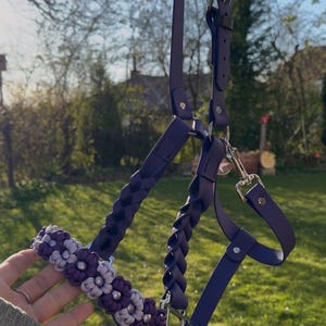 Könnte beinhalten: Ein dunkelvioletter Pferdehalfter mit geflochtenem Abschnitt und floralen Akzenten. Der Halfter hat silberfarbene Metallbeschläge und wird vor einem grünen, grasbewachsenen Hintergrund gehalten.