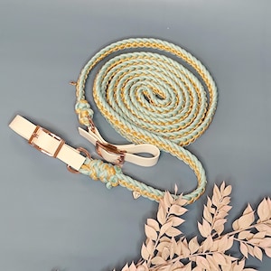 Reins for horses from the collection &quot;Diamond&quot;