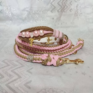 Dog collar with braided paracord leash as a set