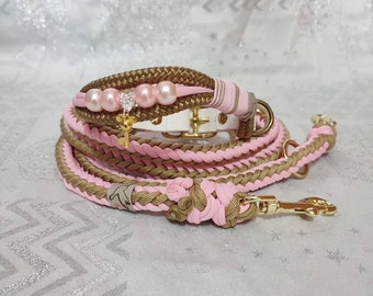 Dog collar with braided paracord leash as a set