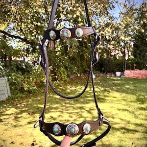 May include: A black leather horse bridle with silver-toned conchos and turquoise-colored stone accents. The bridle is suspended against a backdrop of green foliage and a sunny sky.