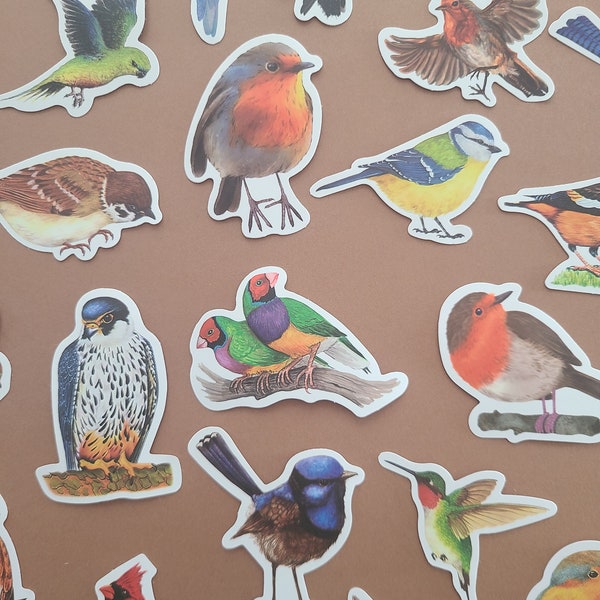 50 Stickers Oiseaux Nature Pie Coloré Perroquet Ornithologie Toucan Aigle Redbreast - Autocollants Vinyle/Waterproof