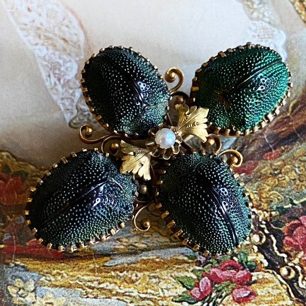 Antique Victorian Beetle Brooch, Egyptian Revival Scarabs, Gold Insect Jewelry, Real insects, Taxidermy Bugs, Prong Set specimen, Edwardian