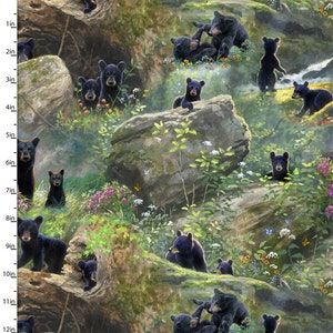 May include: A colourful illustration of a family of black bears in a woodland setting. The bears are shown in various poses, including playing, sitting, and standing. The background features lush greenery, rocks, and a small stream.
