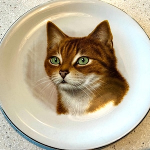 Adorable vintage English porcelain cat plates -      8”
