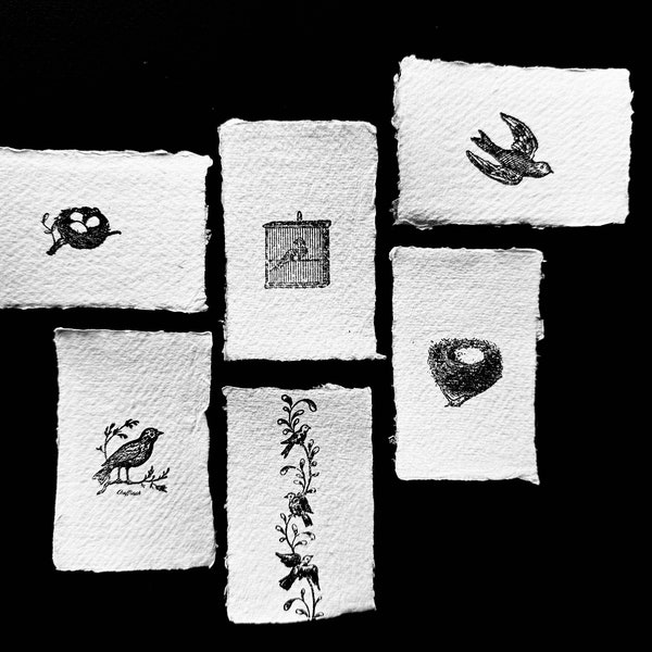 Vögel und Nester Stempel | Handgestempeltes Papier im Set mit 6 Karten für die Kartenherstellung Scrapbooking Junk Journaling Mixed Media Collagen