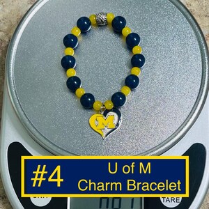 Michigan Wolverines Earrings - Hazel Silver UM Team Logo Jewelry For Women