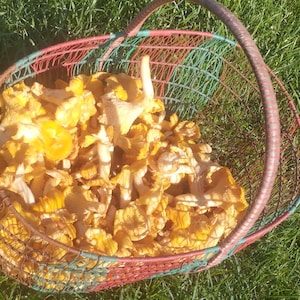 Kosz druciany Vintage Harvest wykonany ręcznie