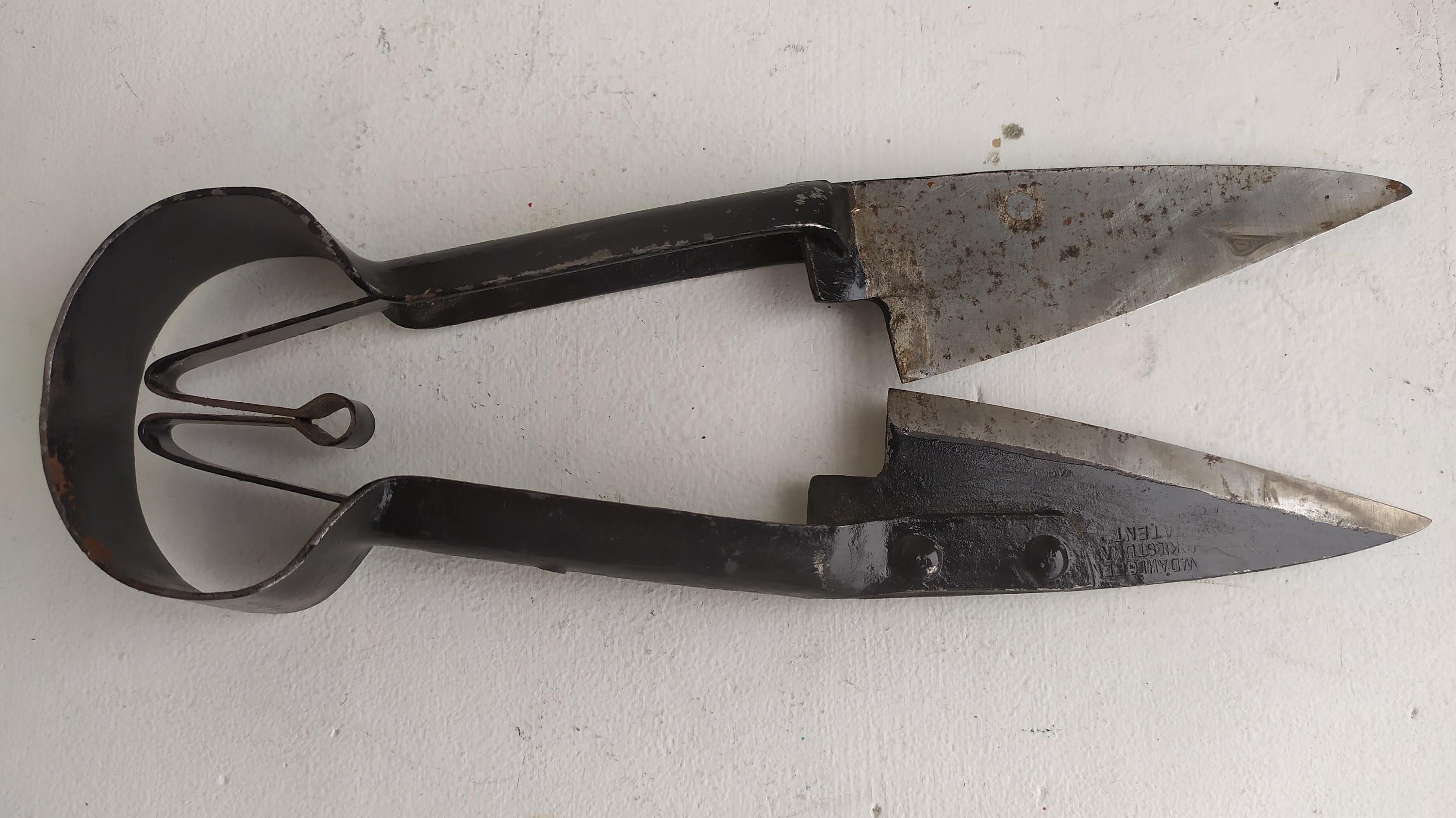 Oster Sheep Shears for sale 44 used Oster Sheep Shears