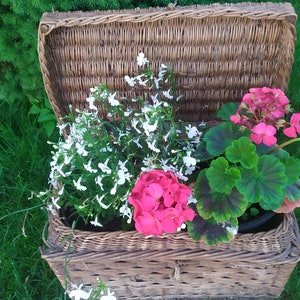 Antieke Estse handgemaakte rieten picknickmand decoratieve opbergmand.