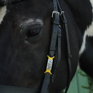 Horse & Rider Safety ID Tag Set           Small 10-18mm Bridle Width