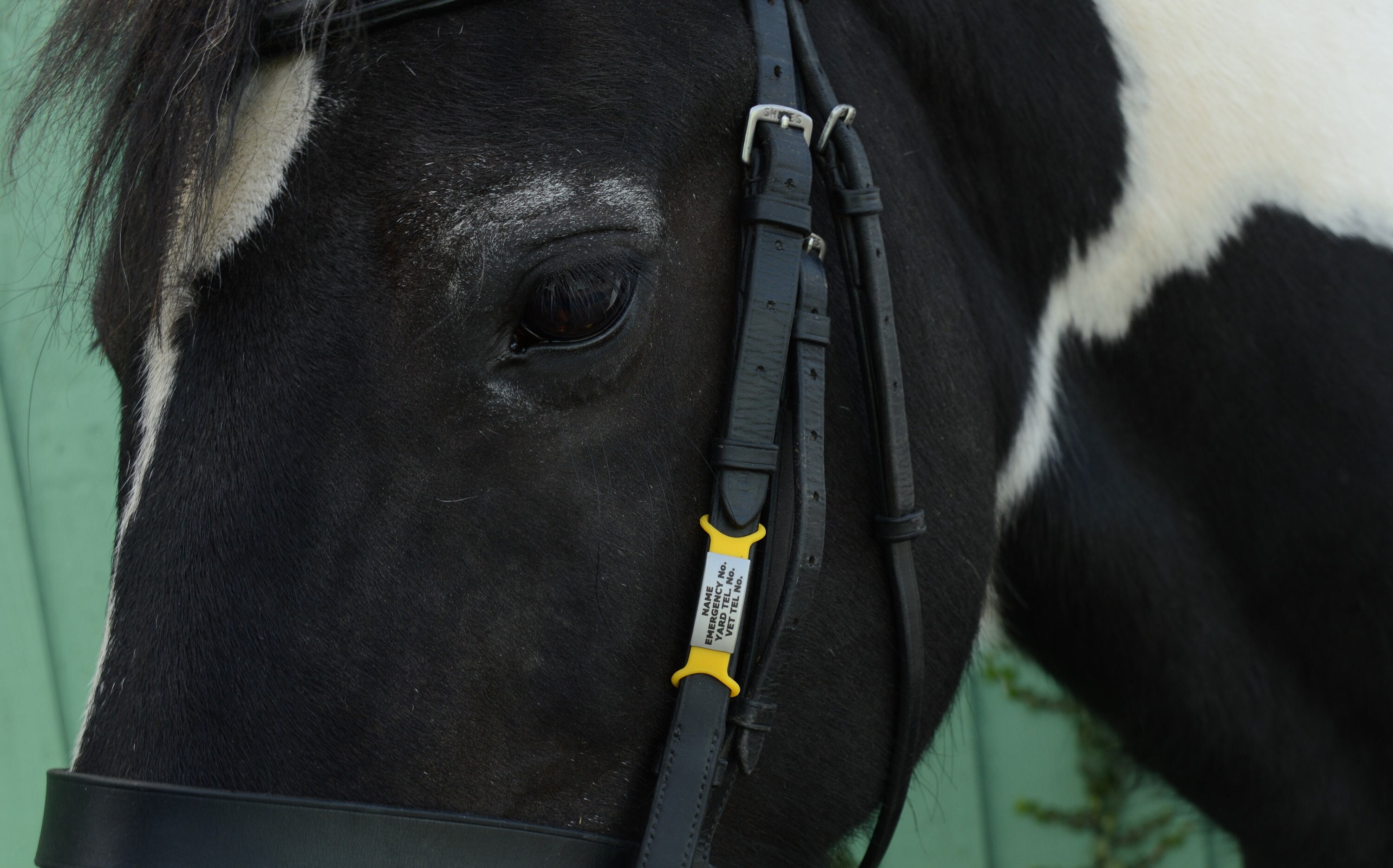Horse & Rider Safety ID Tag Set           Small 10-18mm Bridle Width