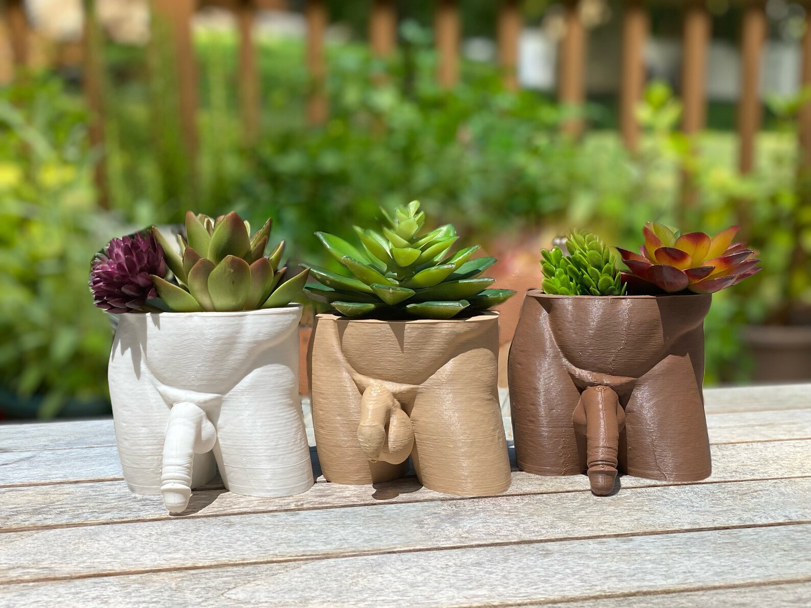 3D Printed Penis Planter Pot for Succulents and Cacti - Etsy