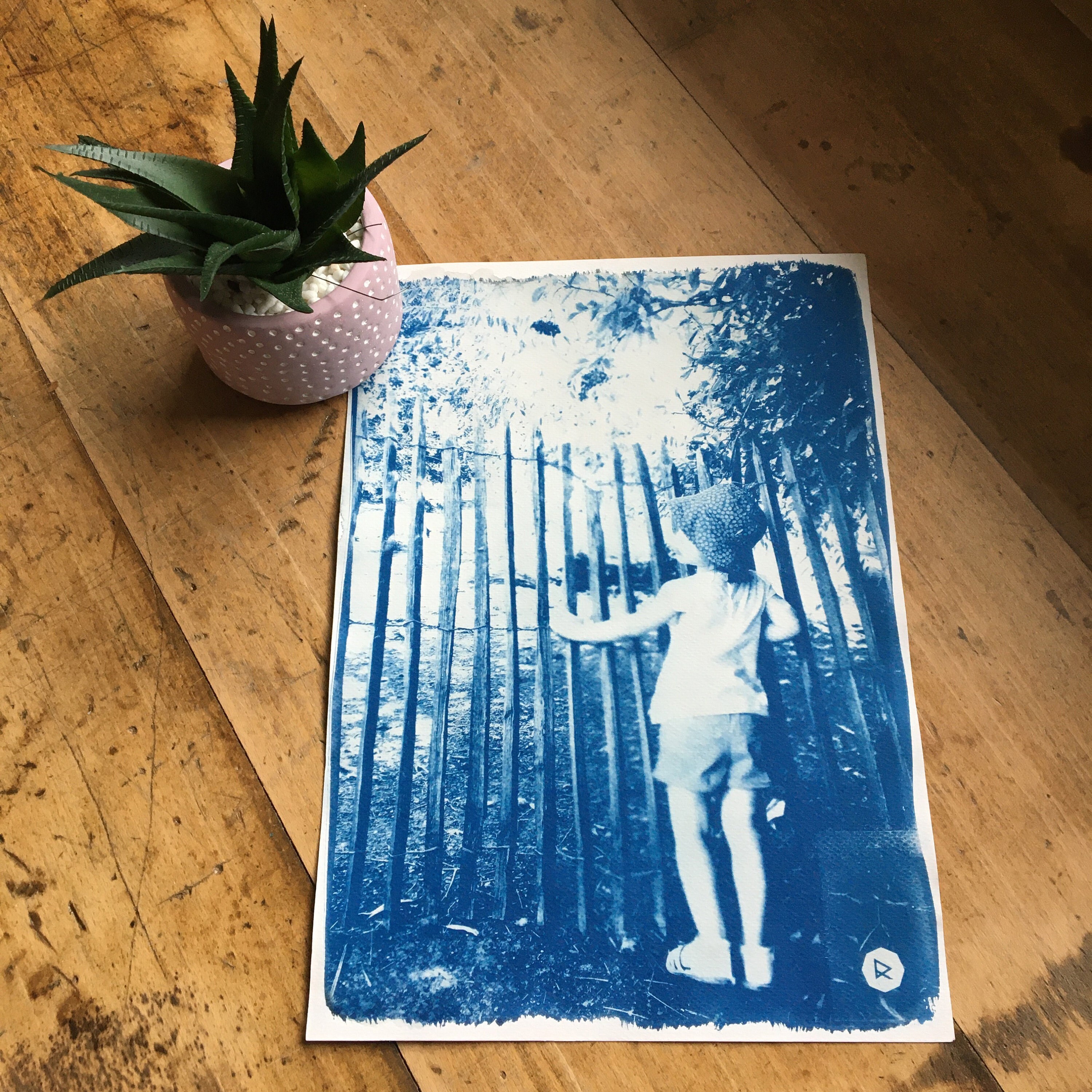 Cyanotype Campagne 21 X 29, 7 cm