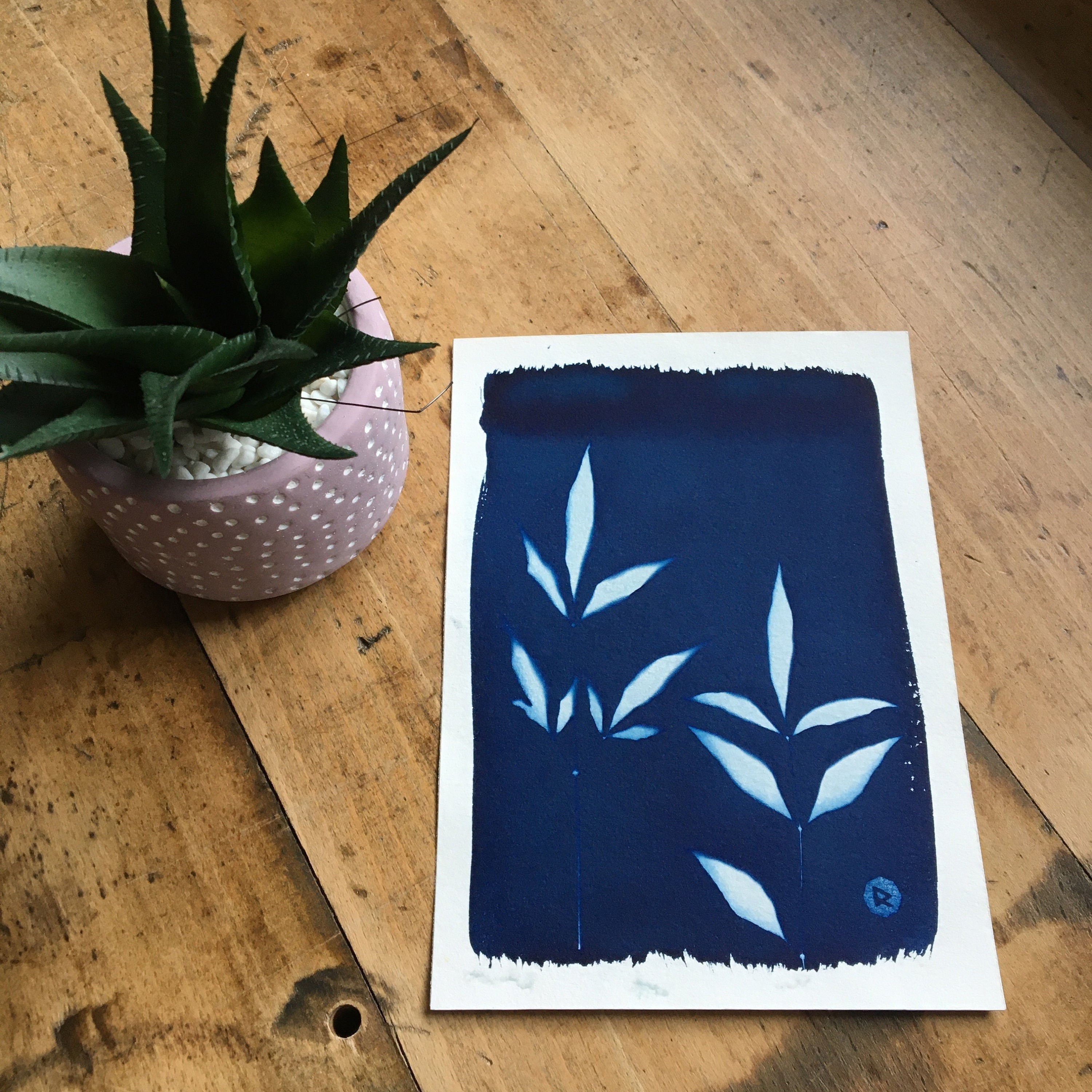 Cyanotype Duet 13 X 18 cm