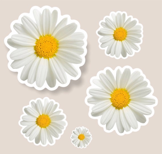 Daisy stickers spring stickers cute stickers planner Etsy