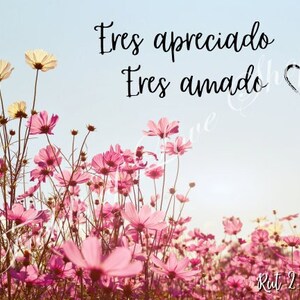 May include: A field of pink cosmos flowers with a blue sky in the background. The text "Eres apreciado Eres amado Rut 2:12" is written in black on the image.