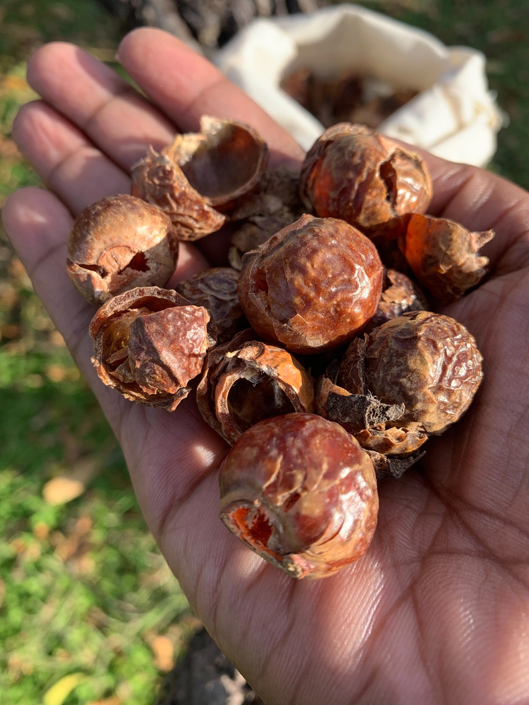 Soap Nuts Deseeded soap Berries 2 Lb Laundry Multipurpose DIY Cleaner 7