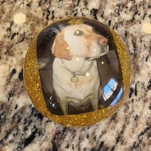 Custom Shift Knobs Of Your Pet Any Image You Want Made Into A Custom Shift Knob For Your Classic Car, Import, HotRod, Rat Rod, Gift For Men