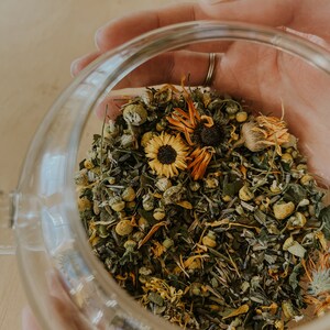 Jar of herbs for new mom healing from childbirth. Jar is held in the palms of a woman. Glass tea jar holding sitz bath herbs