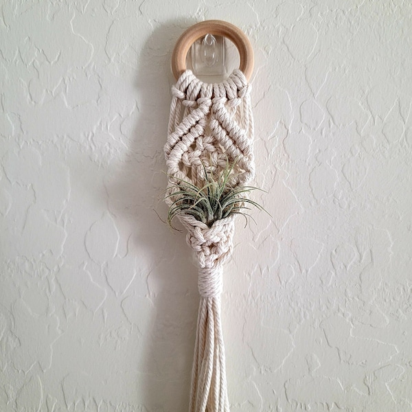 Air Plant Hanger, Mini Plant Hanger, Small Houseplant Hanger, Air Plant Holder