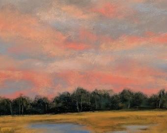 Original Soft Pastel Painting "Captivate Me" by Artist Sue Hankard