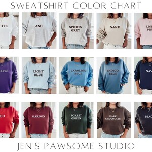 Pu&ograve; includere: Tabella colori che mostra 15 diversi colori di felpe. I colori sono: bianco, cenere, grigio sportivo, sabbia, rosa chiaro, viola, azzurro, blu Carolina, blu indaco, blu navy, rosso, bordeaux, verde bosco, cioccolato fondente e nero.
