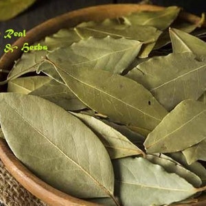 Bay leaf laurel leaf Laurus nobilis, curry leaves,  100% Pure and Natural curry leaves Worldwide Free Shipping 100 Gm To 1 kg