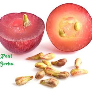 Grape Seeds, 100% pure and natural Grape Seeds, Worldwide Shipping 100Gm To 1kg