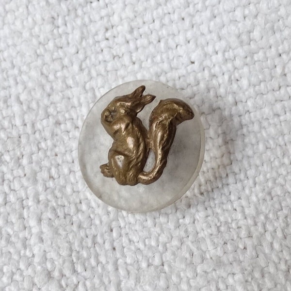 Squirrel button/Antique brass & plastic button/Bouton écureuil ancien/Collectible animal button/Brass squirrel on plastic button/Metal shank