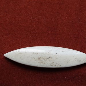 May include: A white, elongated, oval-shaped object with brown speckles. The object is smooth and appears to be made of bone or a similar material. The background is a solid, dark red colour.