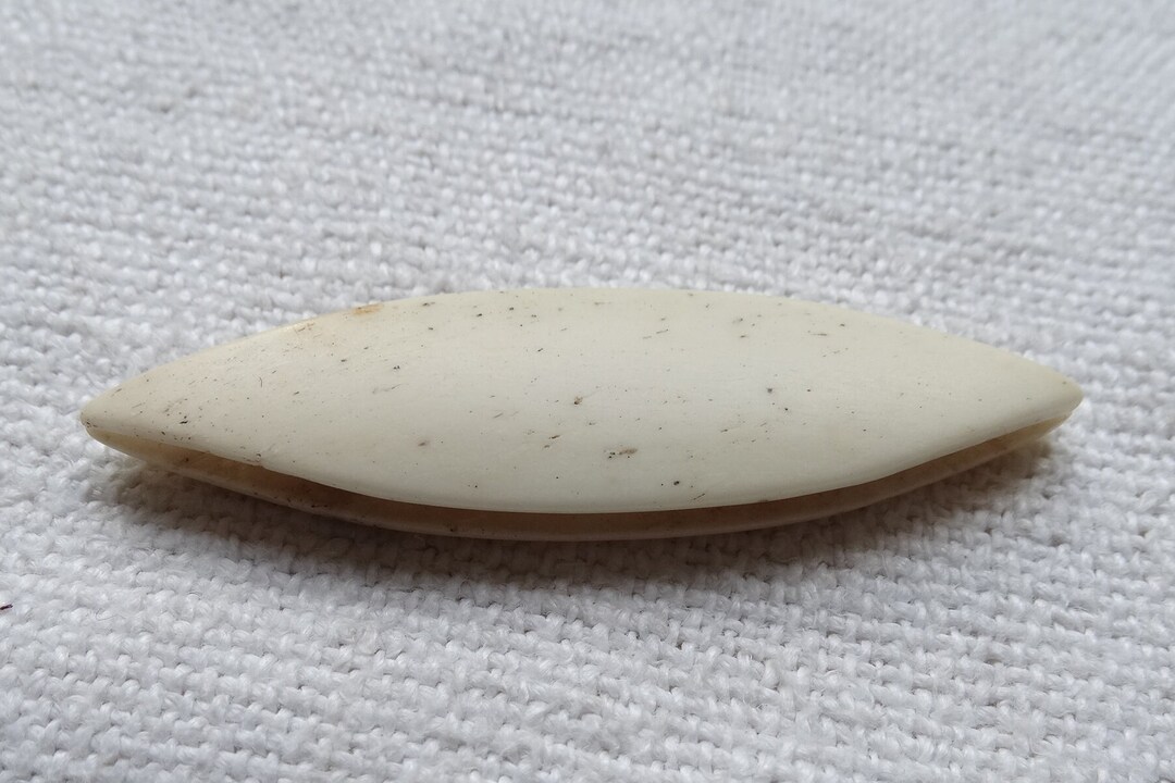Bone Tatting Shuttle/antique Lace Making Shuttle/bone Shuttle Etsy