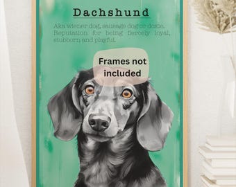 Puede incluir: Un póster de estilo vintage con una ilustración en blanco y negro de un perro Dachshund. El póster tiene un fondo verde turquesa y el texto "Dachshund" en negro en la parte superior. El texto "Aka wiener dog, sausage dog or doxie. Reputation for being fiercely loyal, stubborn and playful." está debajo de la imagen del perro. El texto "Frames not included" está en un globo de diálogo blanco en la parte inferior del póster.