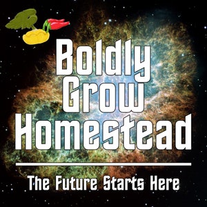 Op de afbeelding: Een witte tekstafbeelding op een kleurrijke nevelachtergrond. De tekst luidt "Boldly Grow Homestead" met een lijn eronder en "The Future Starts Here" onder de lijn.