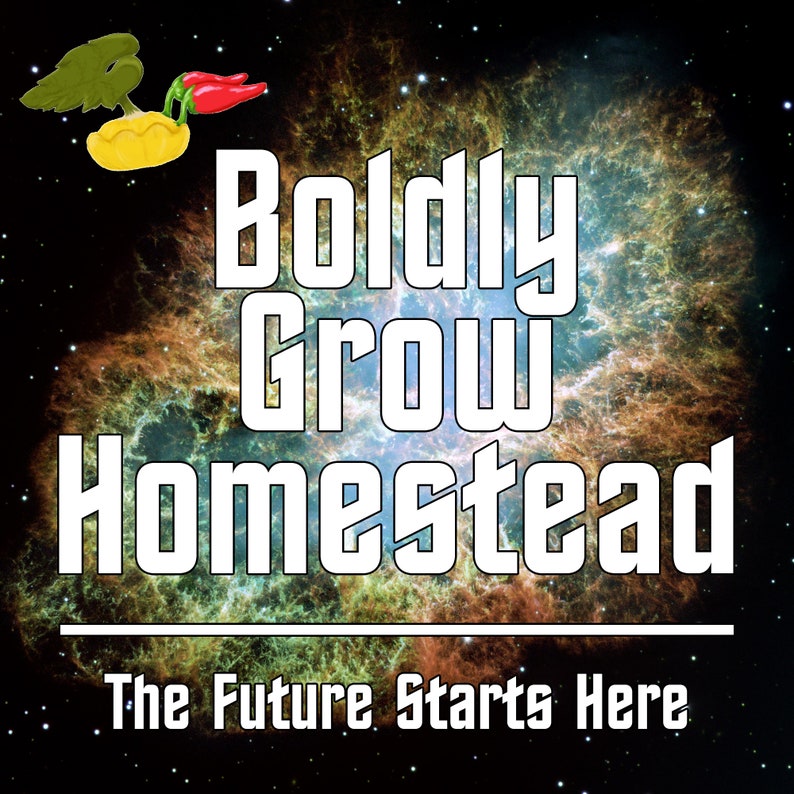 Op de afbeelding: Een witte tekstafbeelding op een kleurrijke nevelachtergrond. De tekst luidt "Boldly Grow Homestead" met een lijn eronder en "The Future Starts Here" onder de lijn.