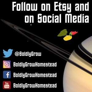 Op de afbeelding: Volg Boldly Grow op Etsy en social media. Vind ze op Twitter, Instagram, Facebook en YouTube.