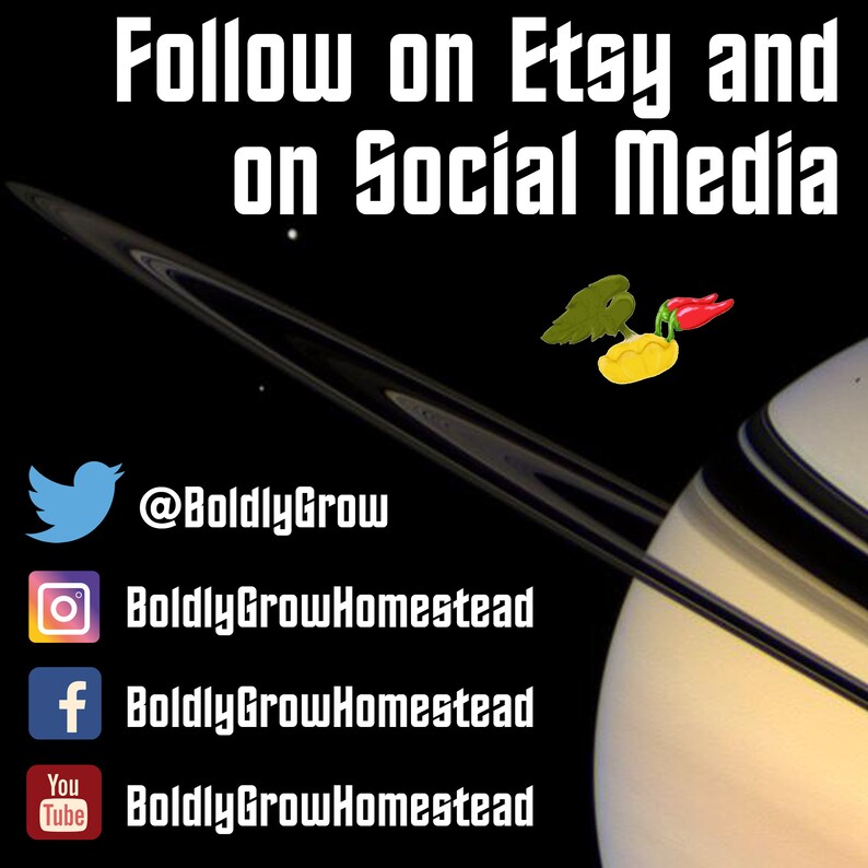 Op de afbeelding: Volg Boldly Grow op Etsy en social media. Vind ze op Twitter, Instagram, Facebook en YouTube.