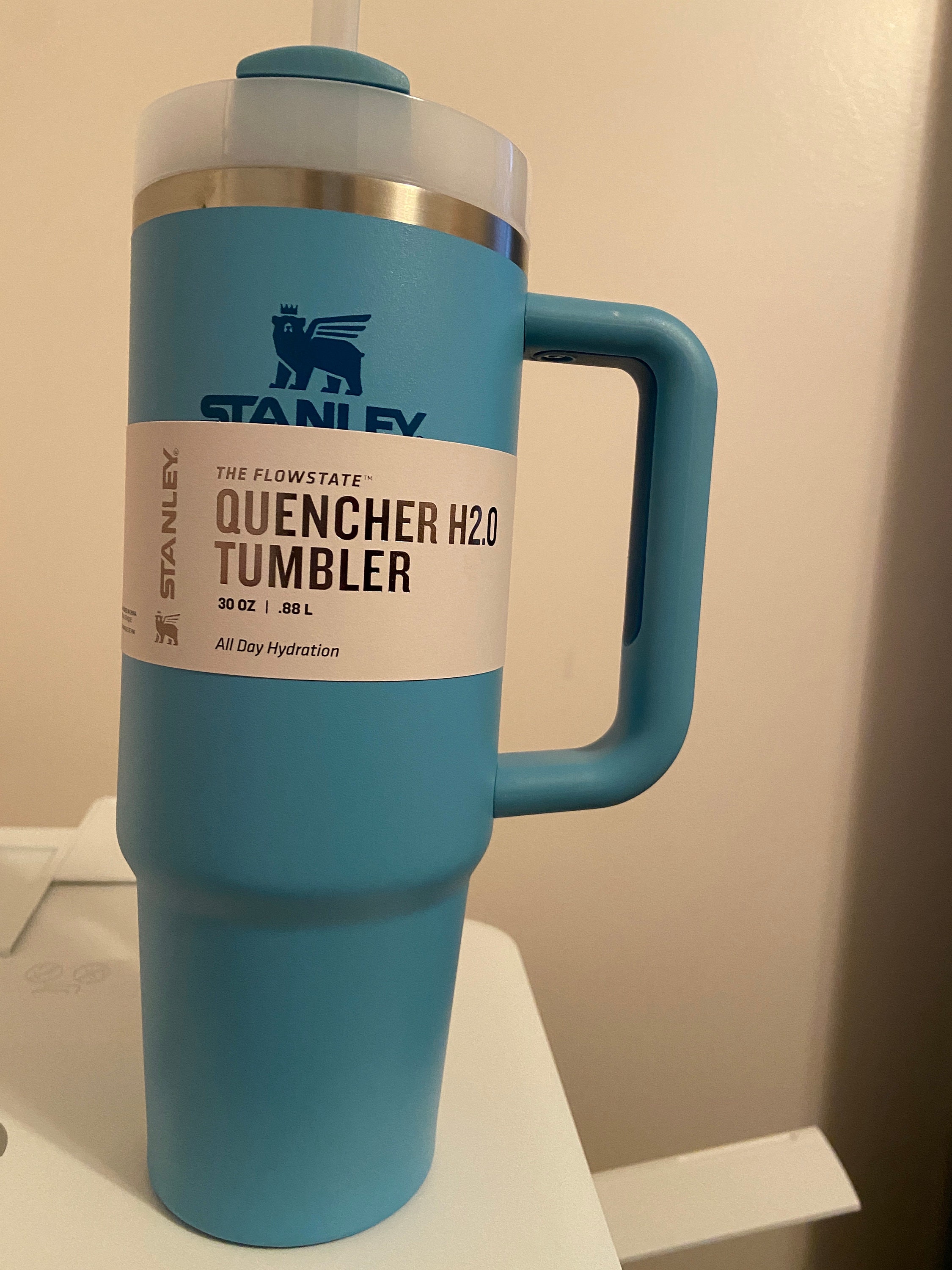STANLEY Quencher H2.0 Tumbler - Pool, 30: Tumblers & Water  Glasses