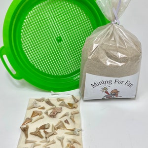 Mining Bag of Sharks Teeth, Shark week lover gifts for kids, shark fanatics gift, shark tooth bulk activity, real authentic shark teeth.