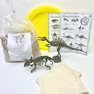 Dino Dinosaur Dig Activity, 3d DIY model puzzle activity, dinosaur sensory mining kit. Dino skeleton model kit