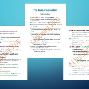 Anatomie & Physiologie Notizen Endokrines System Stillen vor Stillnotizen