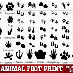 Animal Foot Print Svg Png, Animal Tracks SVG, FootPrints Svg, Wild Animals Foot Prints Svg, Pacote Footprint Svg, Caça Svg, Silhueta