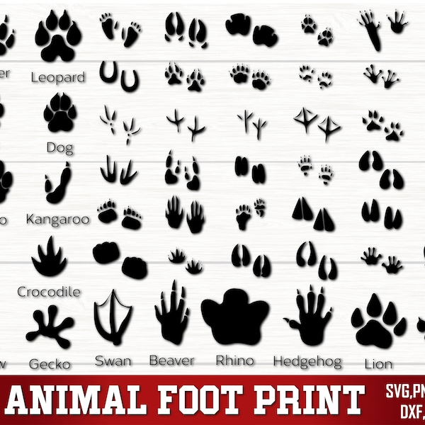 Animal Foot Print Svg Png, Animal Tracks SVG, FootPrints Svg, Wild Animals Foot Prints Svg, Footprint Svg Bundle, Hunting Svg, Silhouette